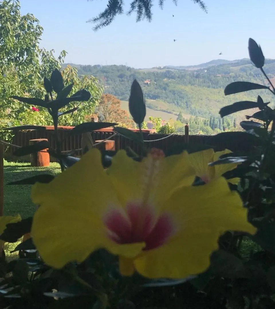 Bed & Breakfast B&B Chalet I Colli Casalecchio Di Reno
