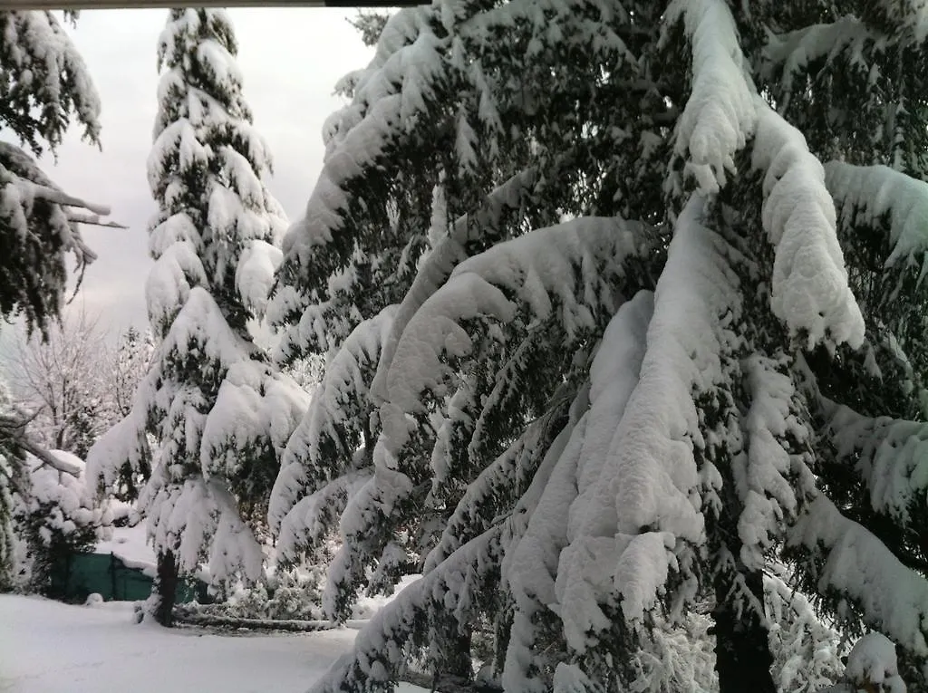 Bed & Breakfast B&B Chalet I Colli Casalecchio Di Reno