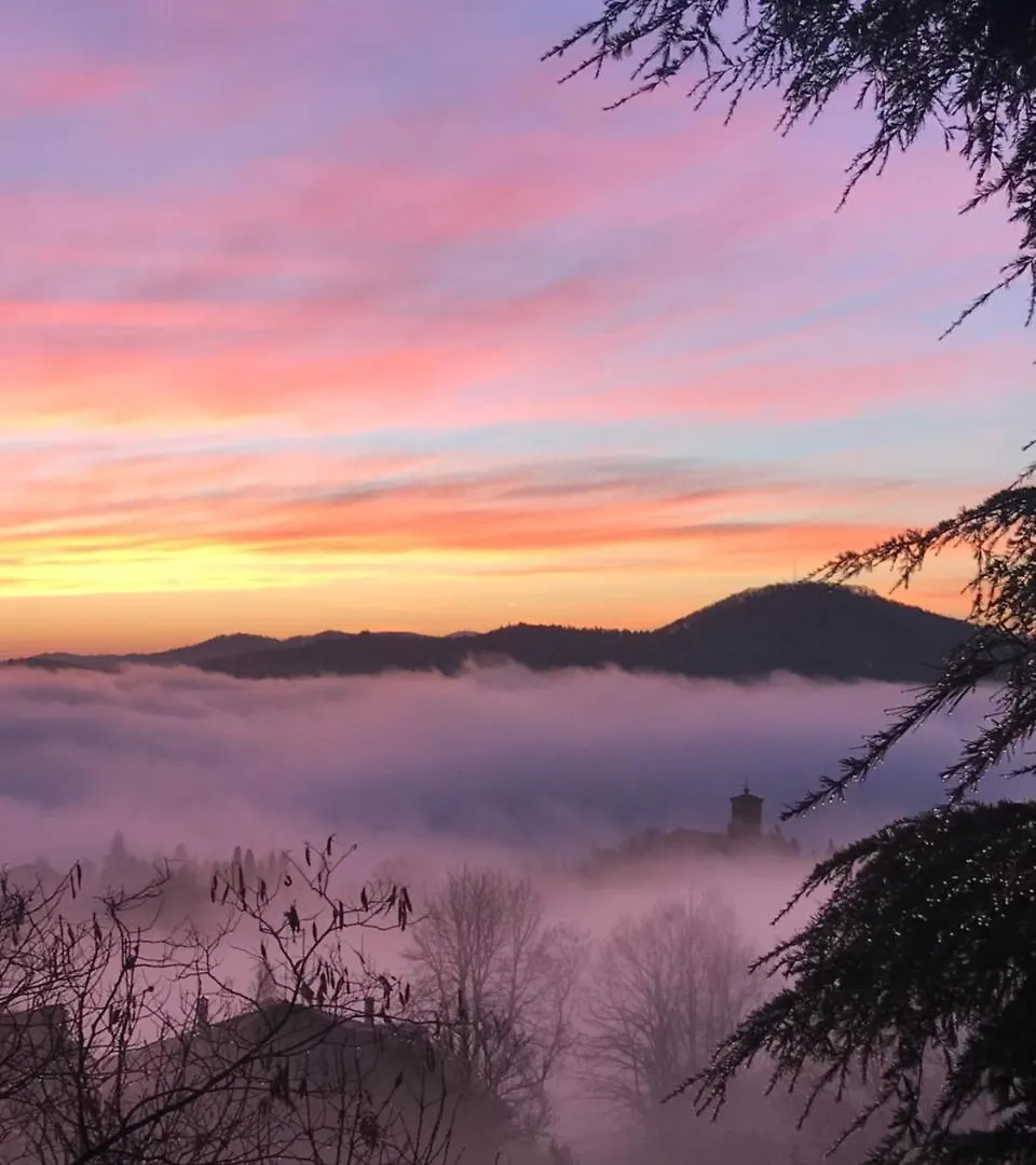 B&B Chalet I Colli Casalecchio Di Reno Bed & Breakfast